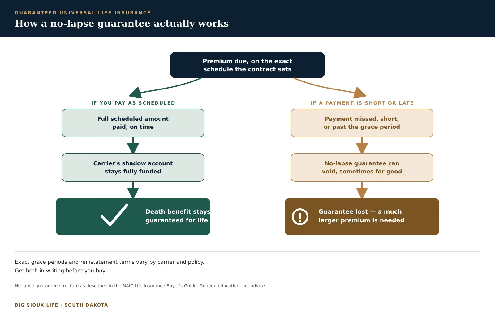 Flow diagram showing two paths for a guaranteed universal life policy: paying the full scheduled premium on time keeps the carrier's shadow account funded and the death benefit guaranteed for life, while a missed, short, or late payment can void the no-lapse guarantee, sometimes permanently, requiring a much larger premium to avoid an actual lapse