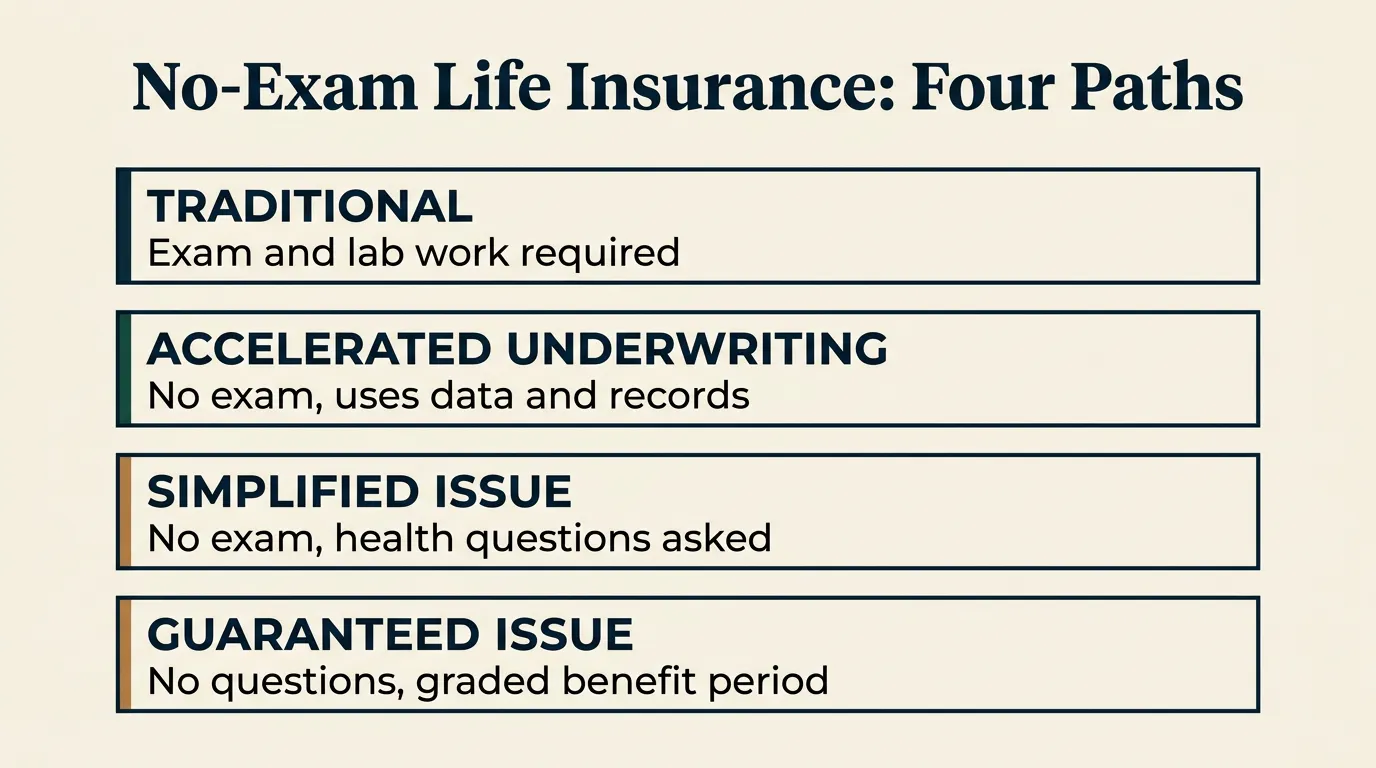 Flowchart infographic titled 'No-Exam Life Insurance: Four Paths' showing four boxes: Traditional, exam and lab work required; Accelerated Underwriting, no exam, uses data and records; Simplified Issue, no exam, health questions asked; and Guaranteed Issue, no questions, graded benefit period